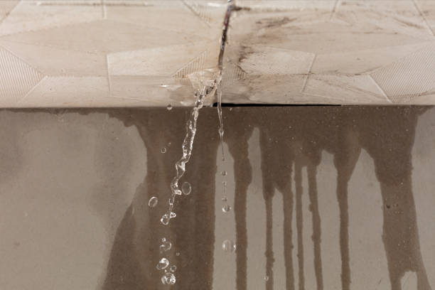 Professional Water Damage Repair technician working in New Bloomington, OH